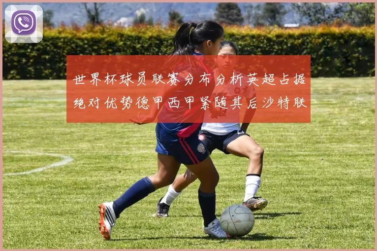 世界杯球员联赛分布分析英超占据绝对优势德甲西甲紧随其后沙特联排名第六